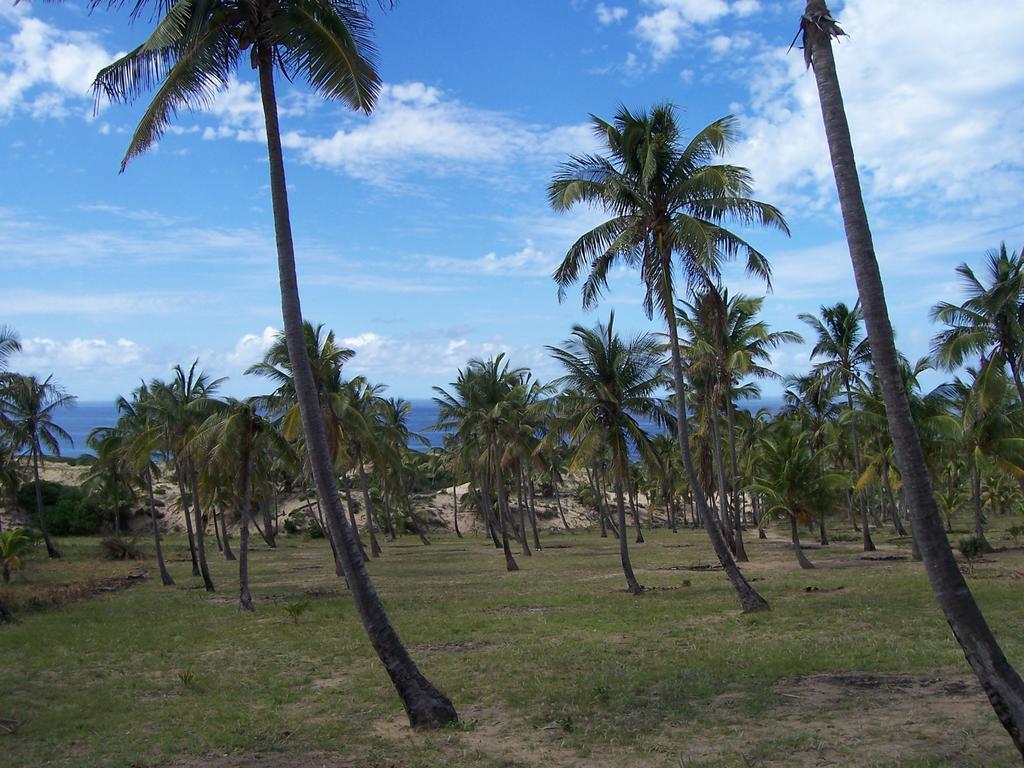 Blue Moon Beach Holiday Resort Inhambane Pokój zdjęcie